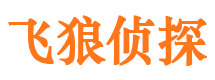 望都外遇出轨调查取证